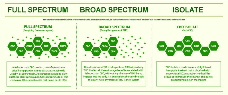 CBD chart that explains the difference between Full Spectrum, Broad Spectrum, and Isolate CBD oil