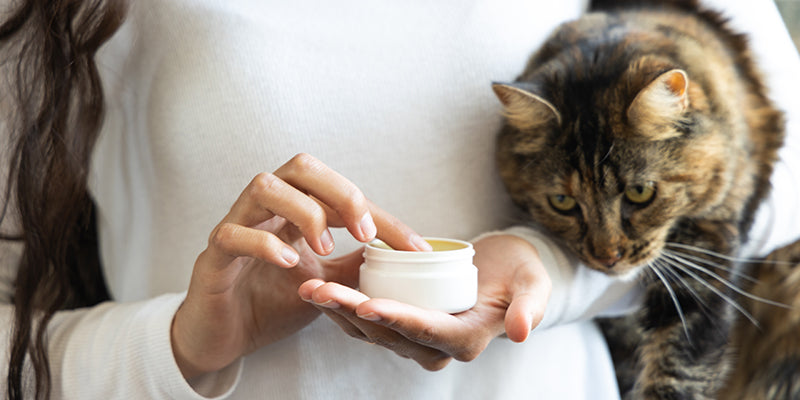 Feline CBD topical