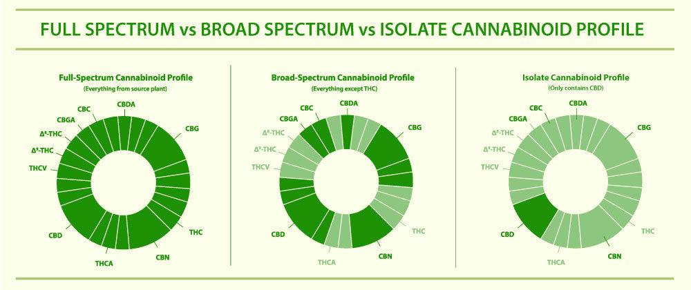 Graph that shows the difference between Full Spectrum vs Broad Spectrum vs Isolate CBD