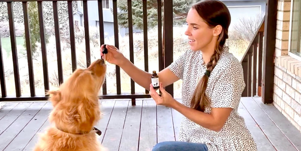 women using CBD oil for dogs