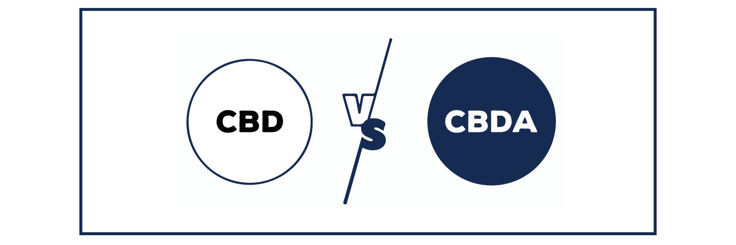CBD vs CBDA