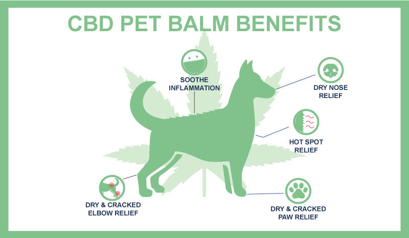 Zatural CBD Pet balm benefits