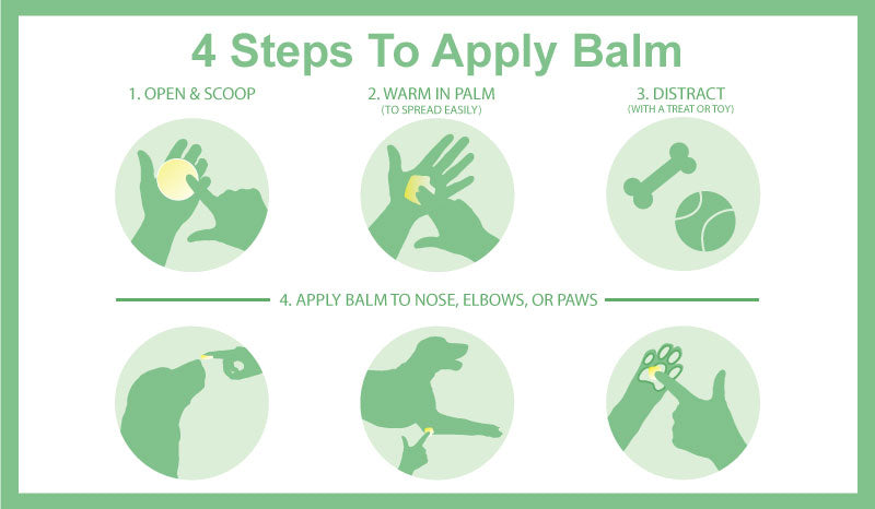 How to apply Pet Balm