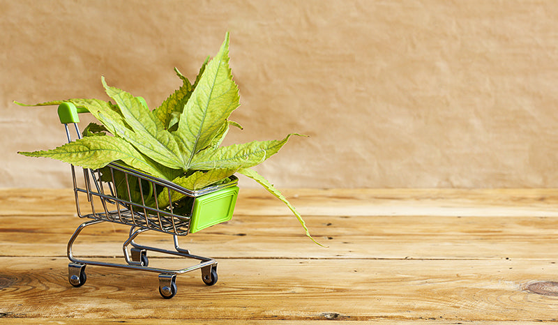 Shopping Cart with CBD. Buying CBD. Don't overpay for CBD