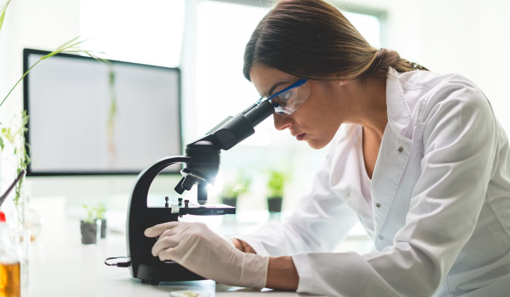 Women scientist looking into microscope to study the entourage effect working with CBD?