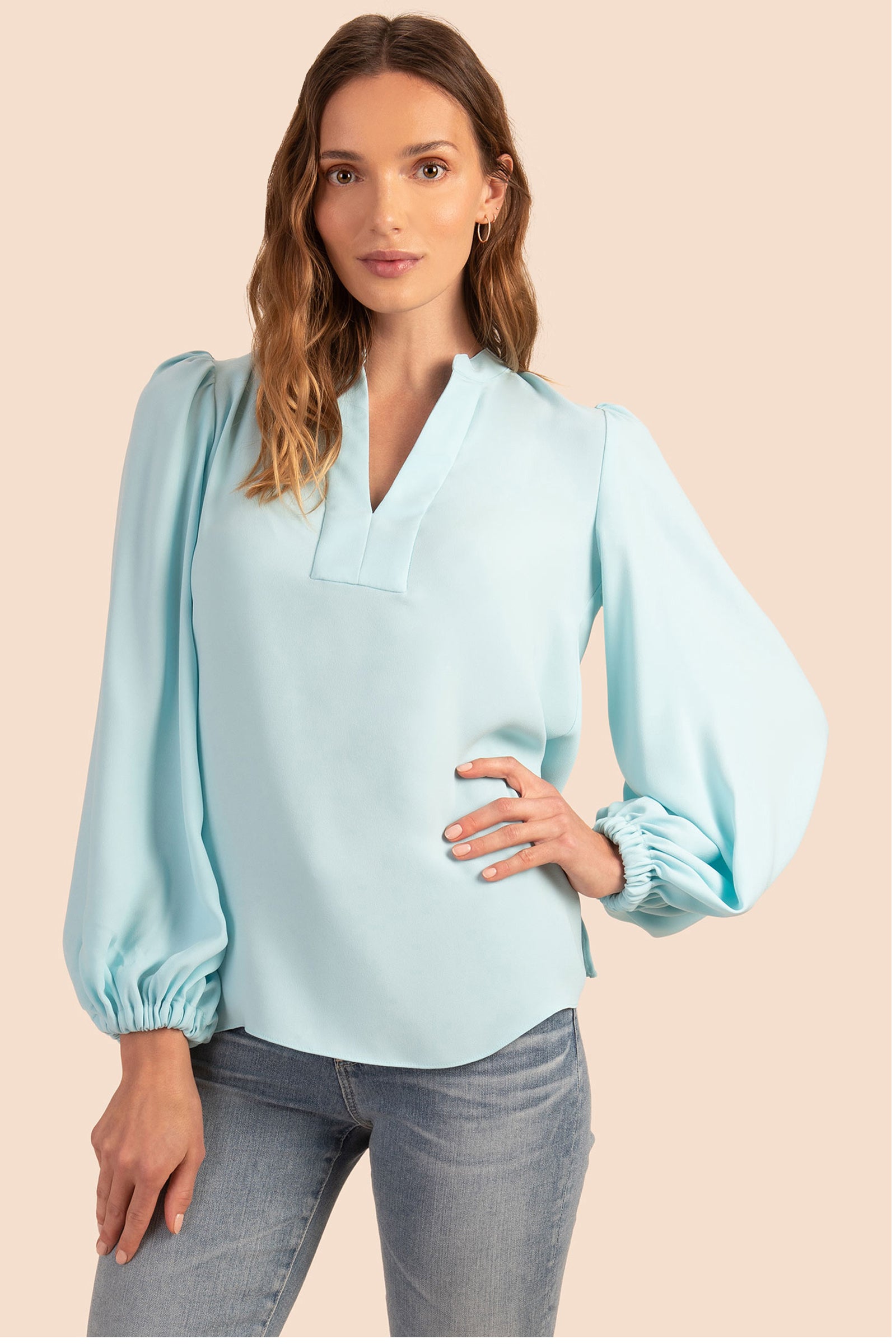 PRETTYGARDEN Women's Chiffon Blouse Solid Color Long Sleeve Button