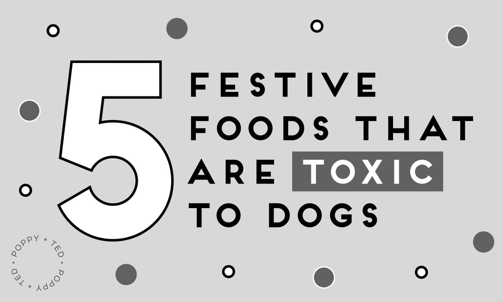 5 Festive Foods that are Toxic to Dogs