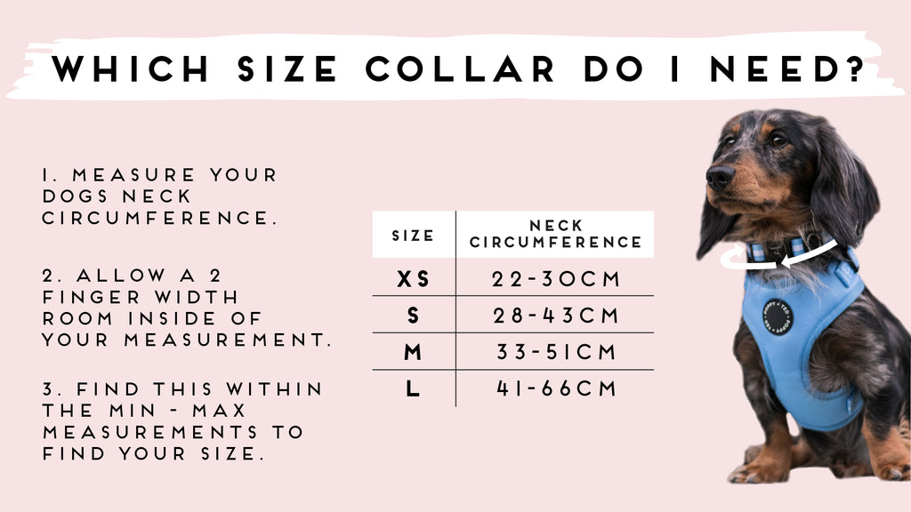 dog collar size guide