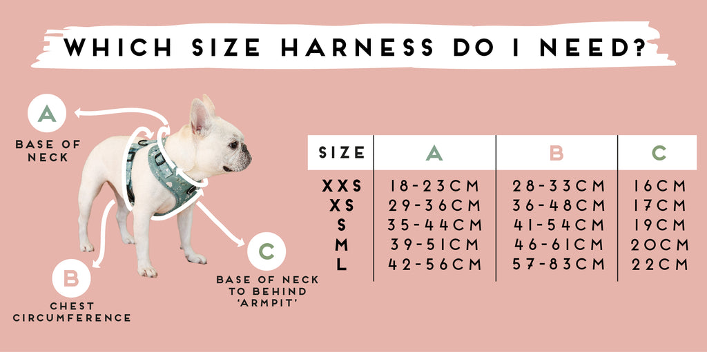 dog harness size guide