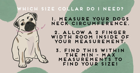 dog collar size guides