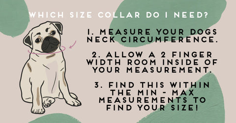 dog collar size guide