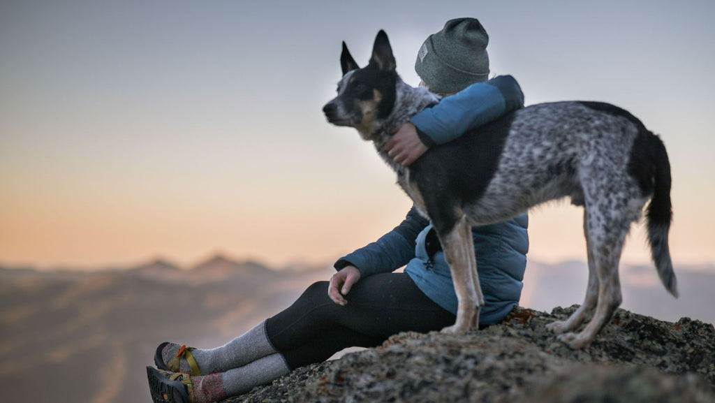 person and dog on hike