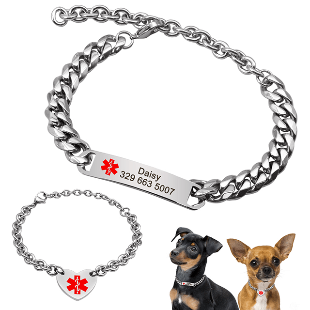 dog collar and chain