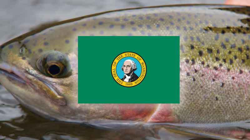 Places to go fishing  Washington Department of Fish & Wildlife