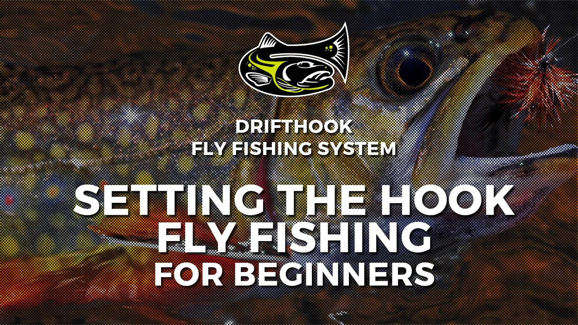 Fly fishing for beginners