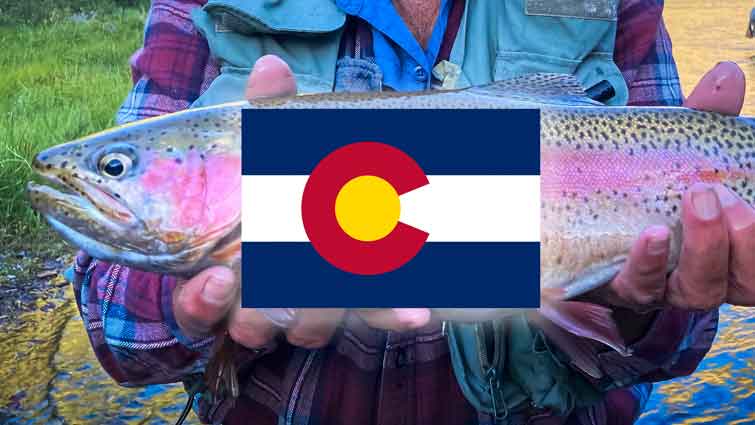 Top 26 Placed to Fly Fish in Colorado