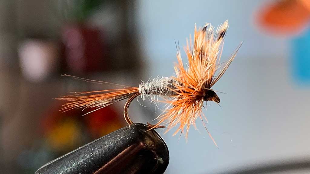 Identify A Dry Fly – Hooks to Hackle