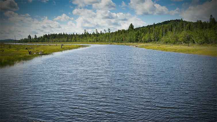 Allagash River Maine Fly Fishing