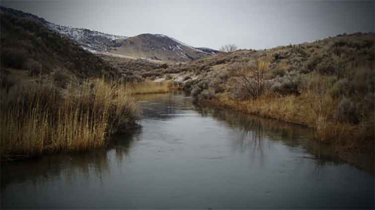 Ana River Oregon Fly Fishing