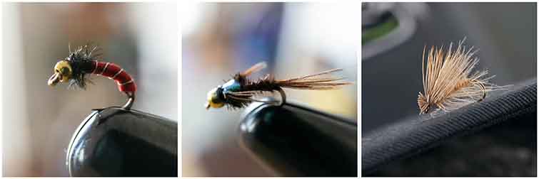Apple Creek North Dakota Fly Fishing Flies