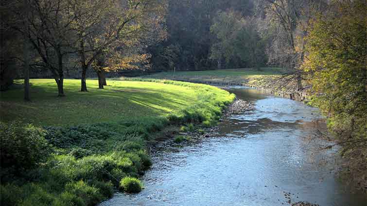 Apple River Illinois Fly Fishing