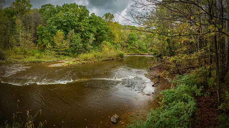 Fishing a Rainy Creek in Southern Ohio 