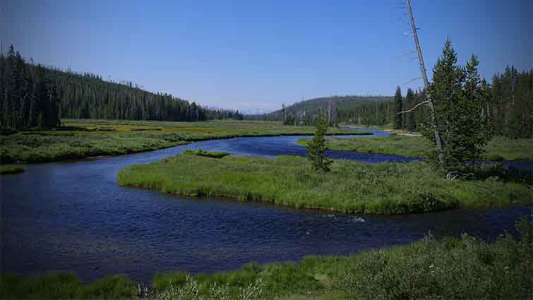 Atlantic Creek Wyoming Fly Fishing