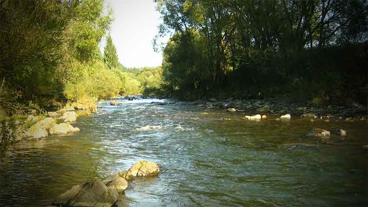 Badger Creek Minnesota Fly Fishing