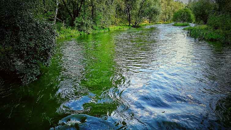 Bailey's Ford Iowa Fly Fishing