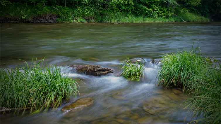 Beaverkill River New York Fly Fishing 