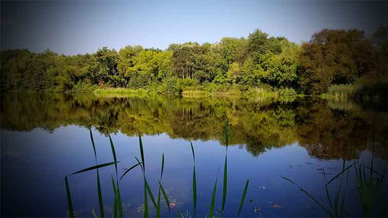 Bellevue State Park Delaware Fly Fishing