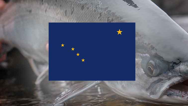 King Salmon and Alaska Flag