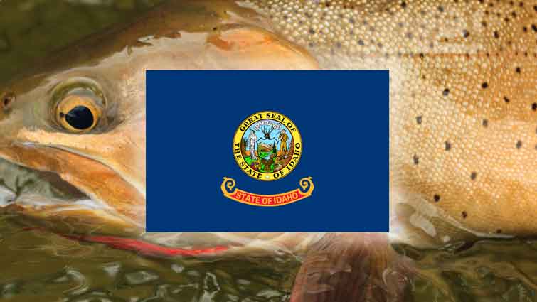 Idaho State Flag in front Idaho State Fish