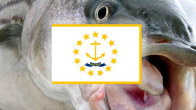 Rhode Island State Fish Stripped Bass with Rhode Island State Flag