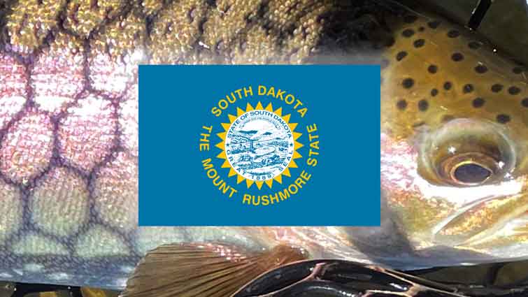 Rainbow Trout and South Dakota Flag