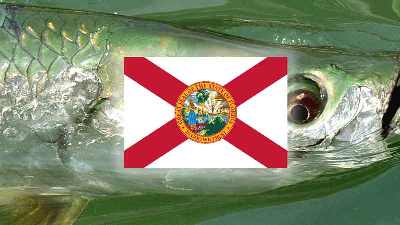 Florida Flag on top of Florida Tarpon