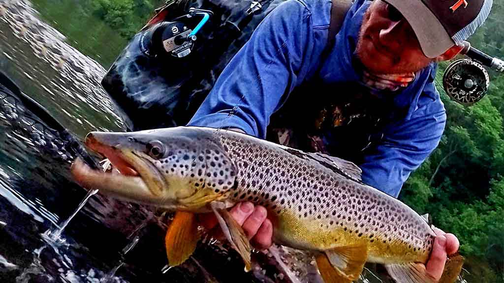 What Time of Day is Best for Dry Fly Fishing?