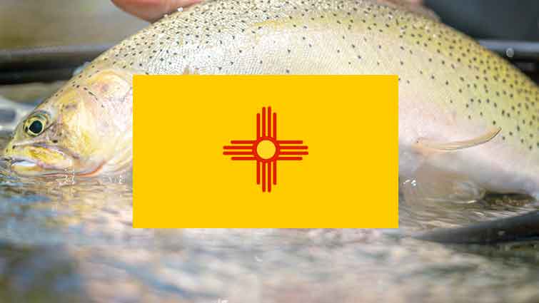 Best Fly Fishing Location in New Mexico