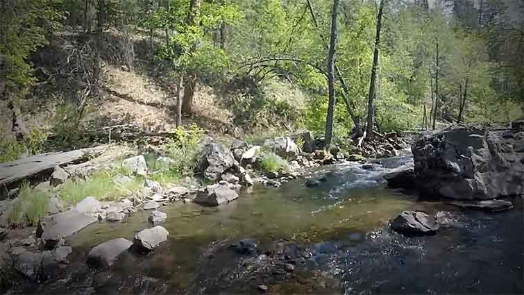 Big Bonito Creek Arizona Fly Fishin