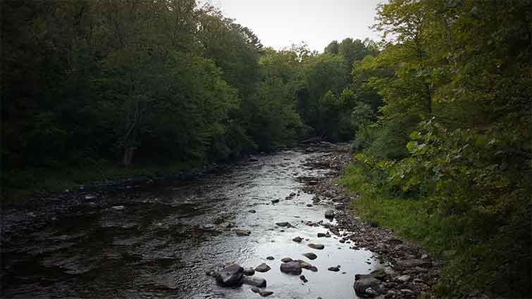 Big Flat Brook New Jersey Fly Fishing