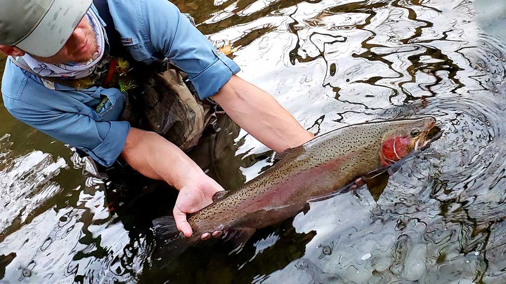 Man Catching Large Trout