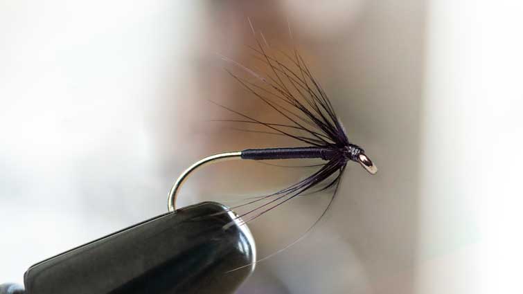 Beginner's Fly Tying Series: Classic Wet Flies, the Red Tag 