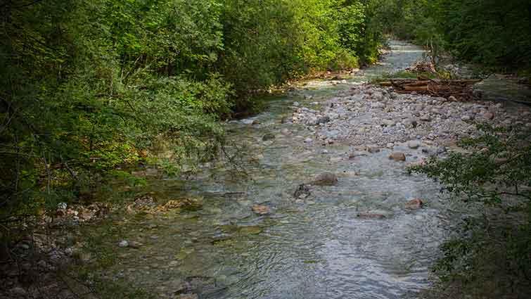 Bloody Run Creek Iowa Fly Fishing