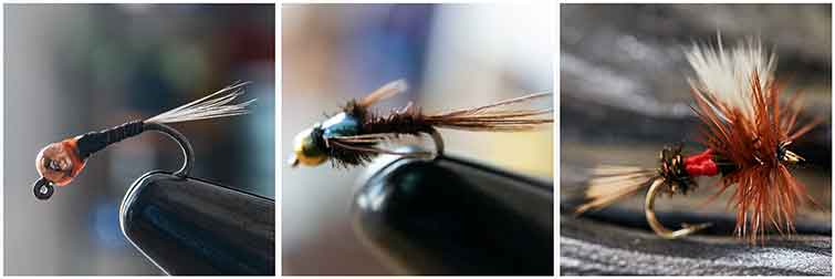 Bluestone River West Virginia Fly Fishing Flies