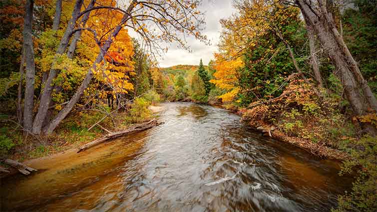 Boardman River fly fishing