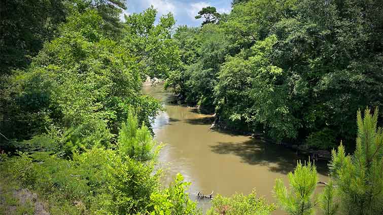 Bouie River Hattiesburg Mississippi Fly Fishing