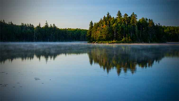 Bourn Pond Vermont Fly Fishing