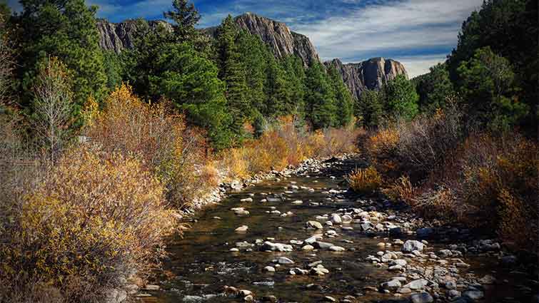 Brazos River New Mexico Fly Fishing