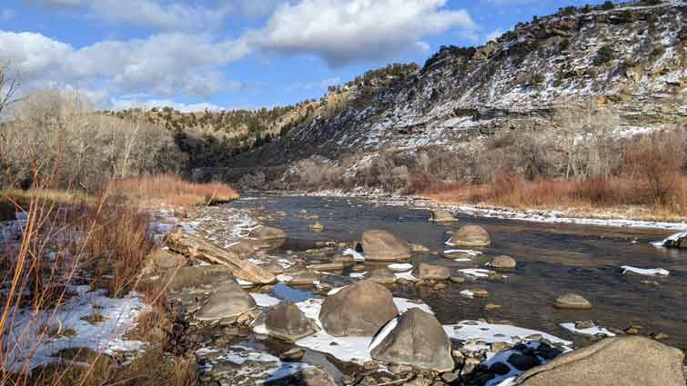 Animas River for Fly Fishing in Colorado