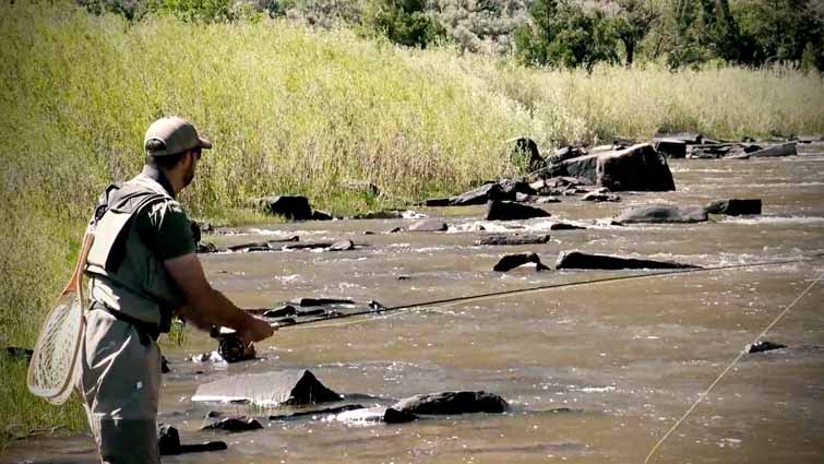 Colorado River man Fly Fishing